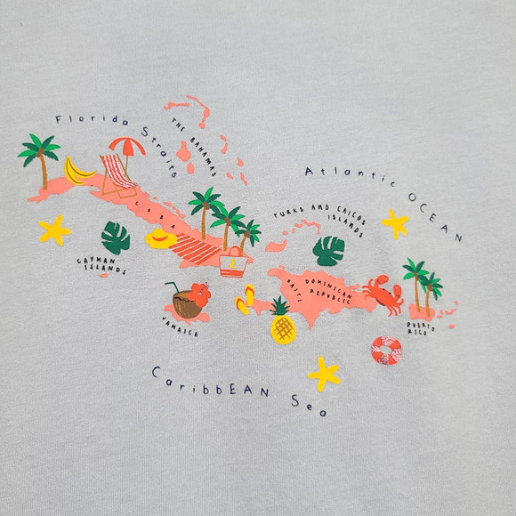 J. Crew Factory Collectors Caribbean graphic tee NWT XS - Picture 3 of 5